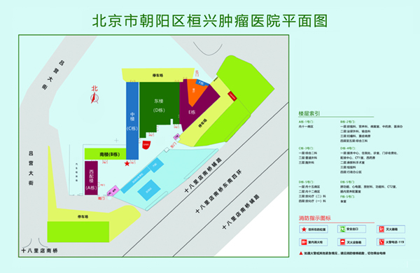 大机巴操小嫩逼的视频北京市朝阳区桓兴肿瘤医院平面图